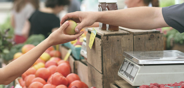 Mettes Kostvejledning